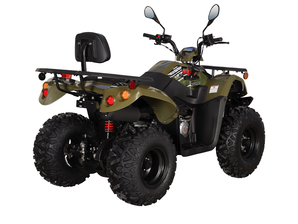 qqr6z5m8l5cryeeamnwgkg2ko0ofduio 1